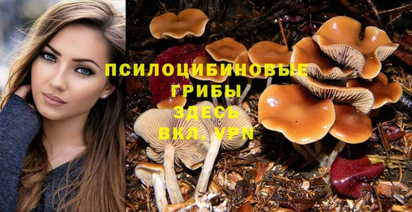 прущие крисы Волосово