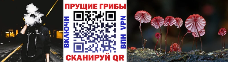 Псилоцибиновые грибы Magic Shrooms  Ядрин 